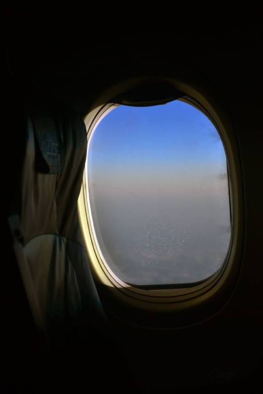 12841291_971685052878554_2490242956000531015_o