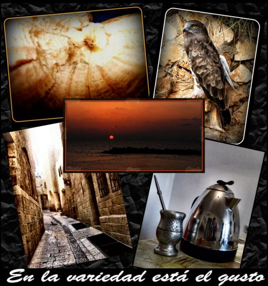 EN LA VARIEDAD ESTÁ EL GUSTO.-